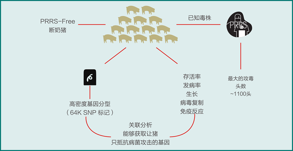 對(duì)話傅衍 (10).png